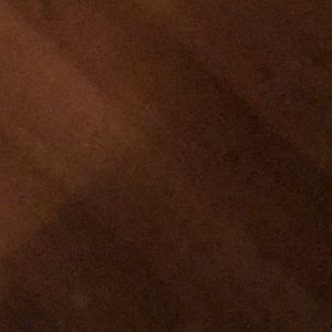 Meet your Posher, Elsa